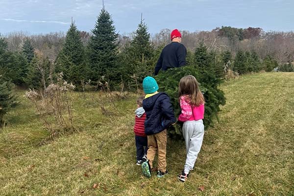 Cut your own Christmas Tree