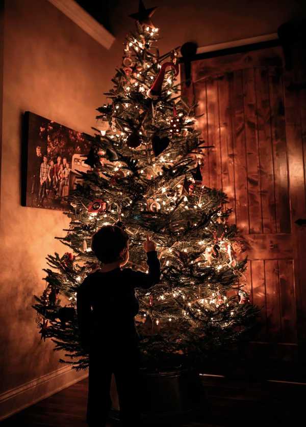 A special Christmas Tree