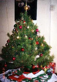 ChristmasTreesNow.com tree